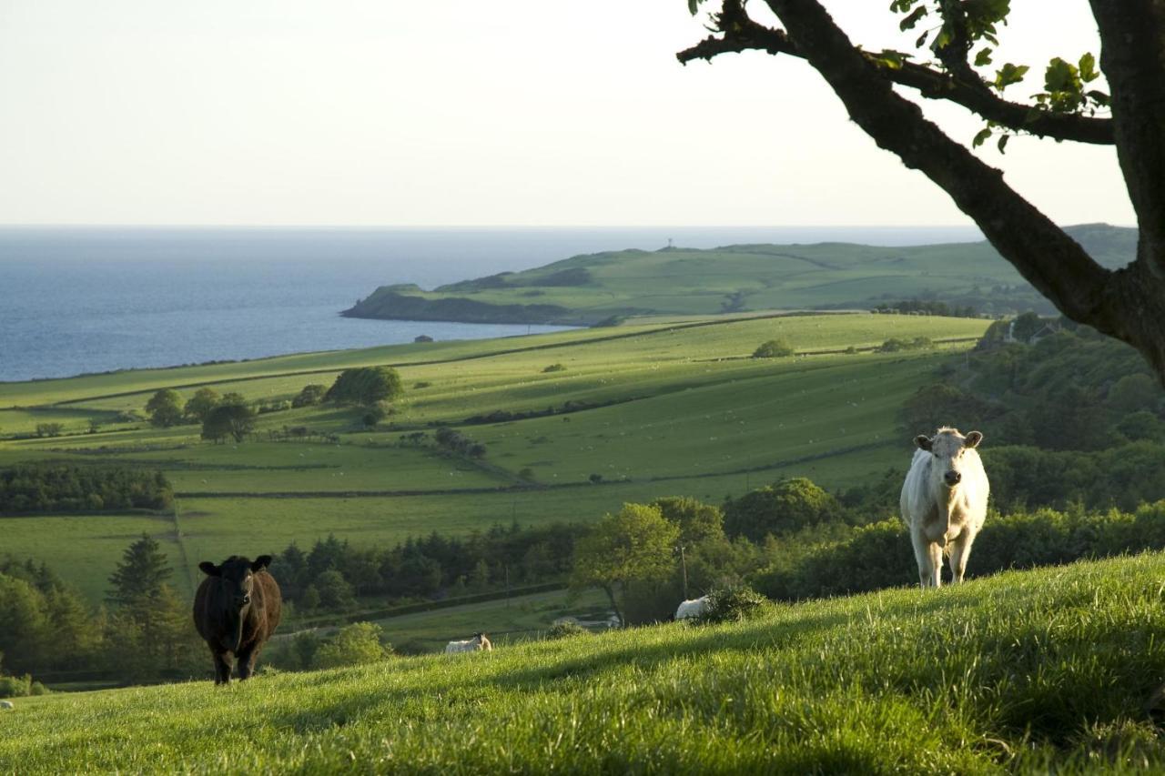 Orroland Holiday Cottages Dundrennan 외부 사진